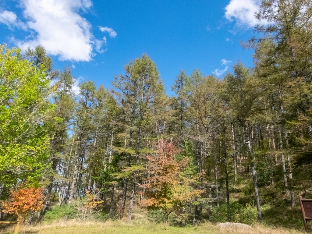 f:id:saetta0404:20181008182737j:plain f:id:saetta0404:20181008182737j:plain