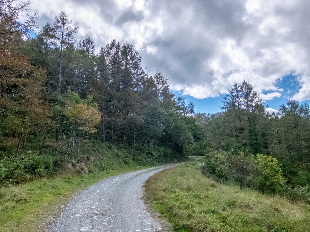 f:id:saetta0404:20181008182824j:plain f:id:saetta0404:20181008182824j:plain