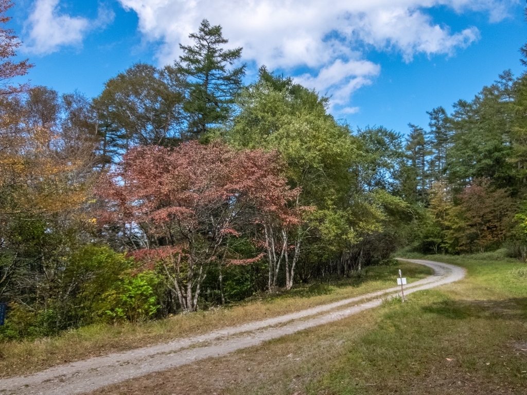 f:id:saetta0404:20181008182924j:plain f:id:saetta0404:20181008182924j:plain