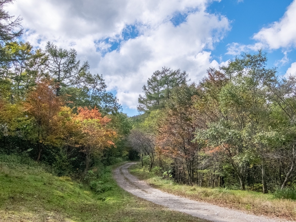 f:id:saetta0404:20181008182945j:plain f:id:saetta0404:20181008182945j:plain