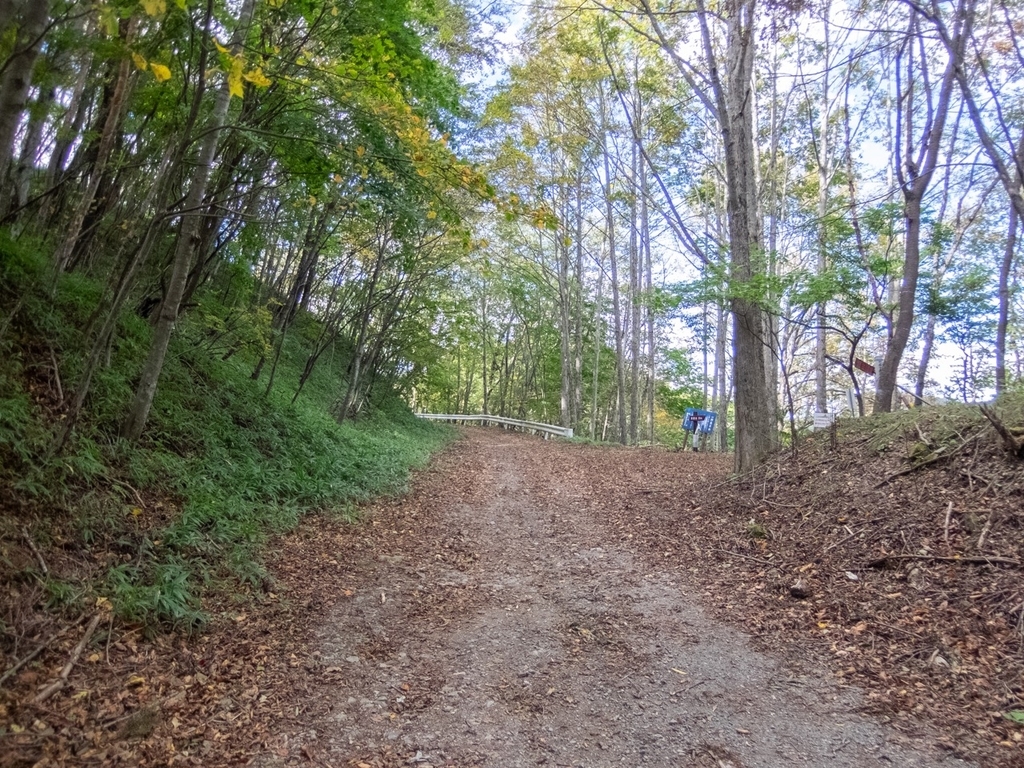 f:id:saetta0404:20181008183233j:plain f:id:saetta0404:20181008183233j:plain