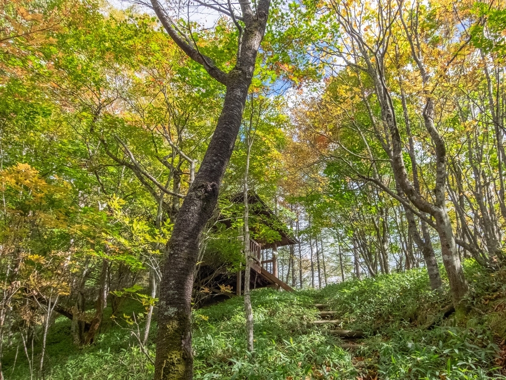 f:id:saetta0404:20181008183259j:plain f:id:saetta0404:20181008183259j:plain