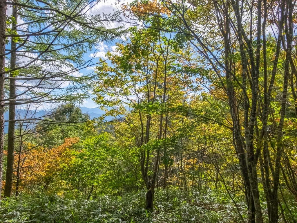 f:id:saetta0404:20181008183328j:plain f:id:saetta0404:20181008183328j:plain