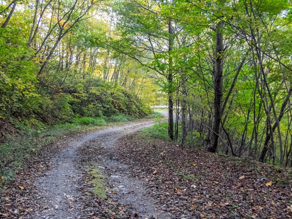 f:id:saetta0404:20181008183359j:plain f:id:saetta0404:20181008183359j:plain