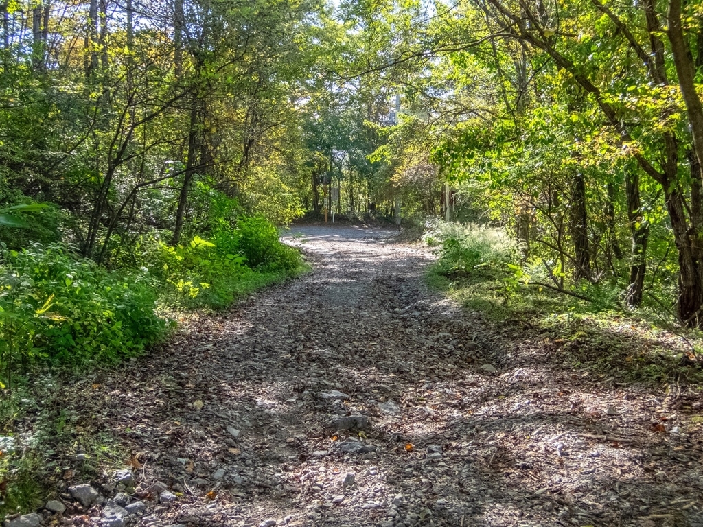 f:id:saetta0404:20181008183545j:plain f:id:saetta0404:20181008183545j:plain