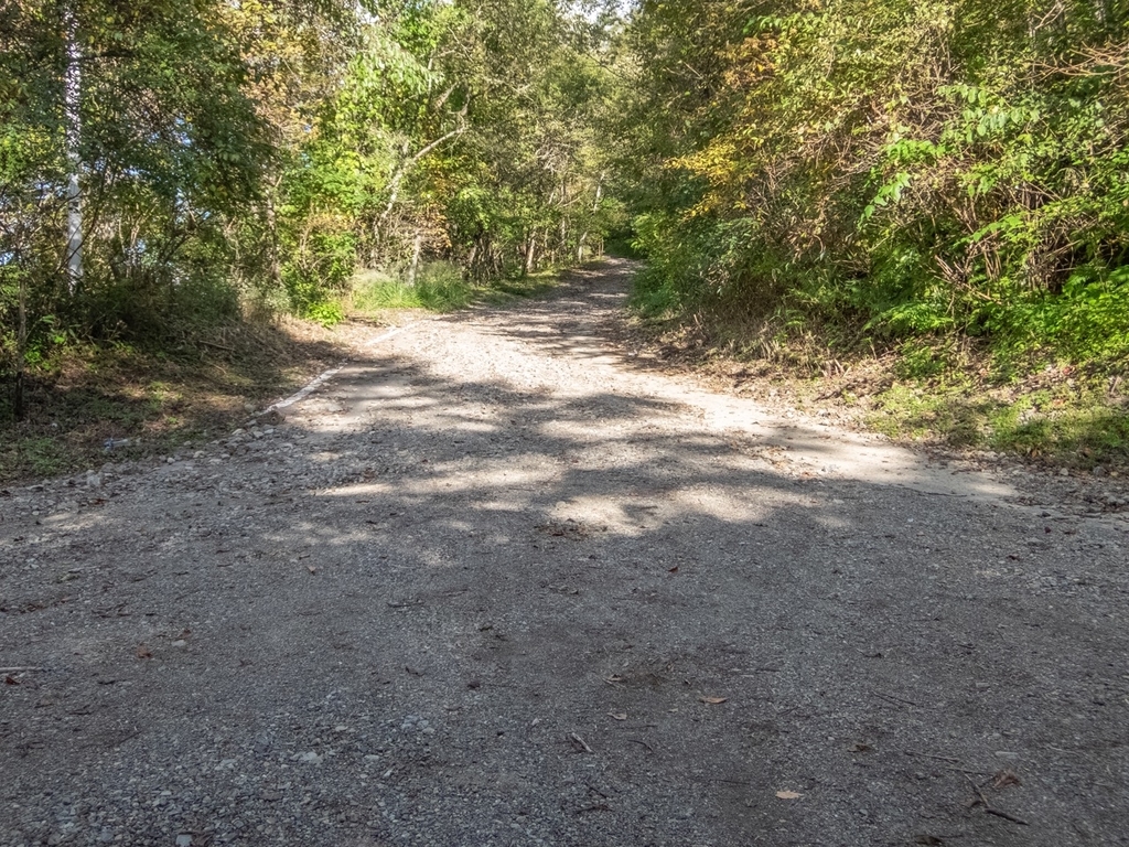 f:id:saetta0404:20181008183617j:plain f:id:saetta0404:20181008183617j:plain