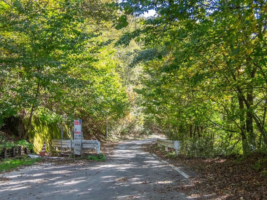 f:id:saetta0404:20181008183649j:plain f:id:saetta0404:20181008183649j:plain