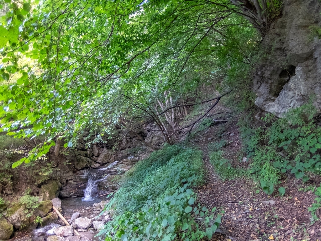 f:id:saetta0404:20181008183941j:plain f:id:saetta0404:20181008183941j:plain