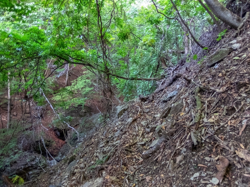 f:id:saetta0404:20181008184000j:plain f:id:saetta0404:20181008184000j:plain