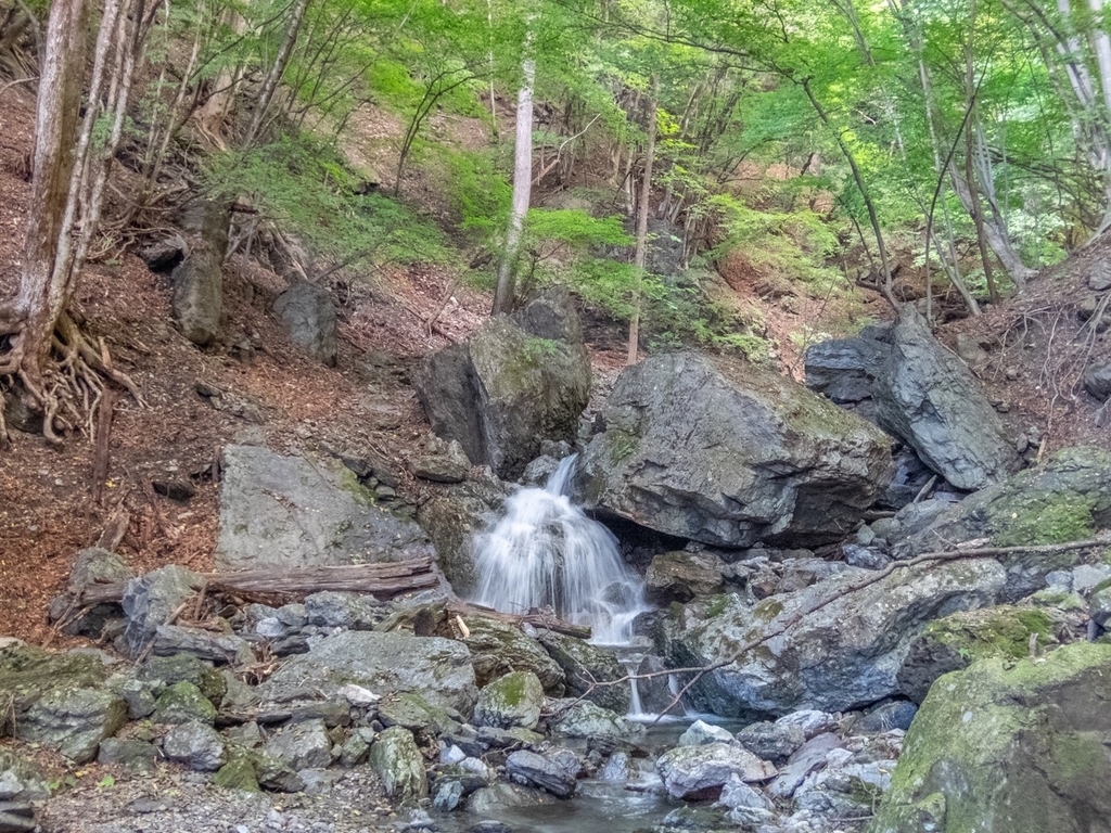 f:id:saetta0404:20181008184018j:plain f:id:saetta0404:20181008184018j:plain