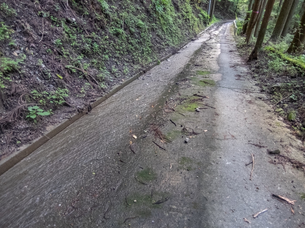 f:id:saetta0404:20181008184127j:plain f:id:saetta0404:20181008184127j:plain