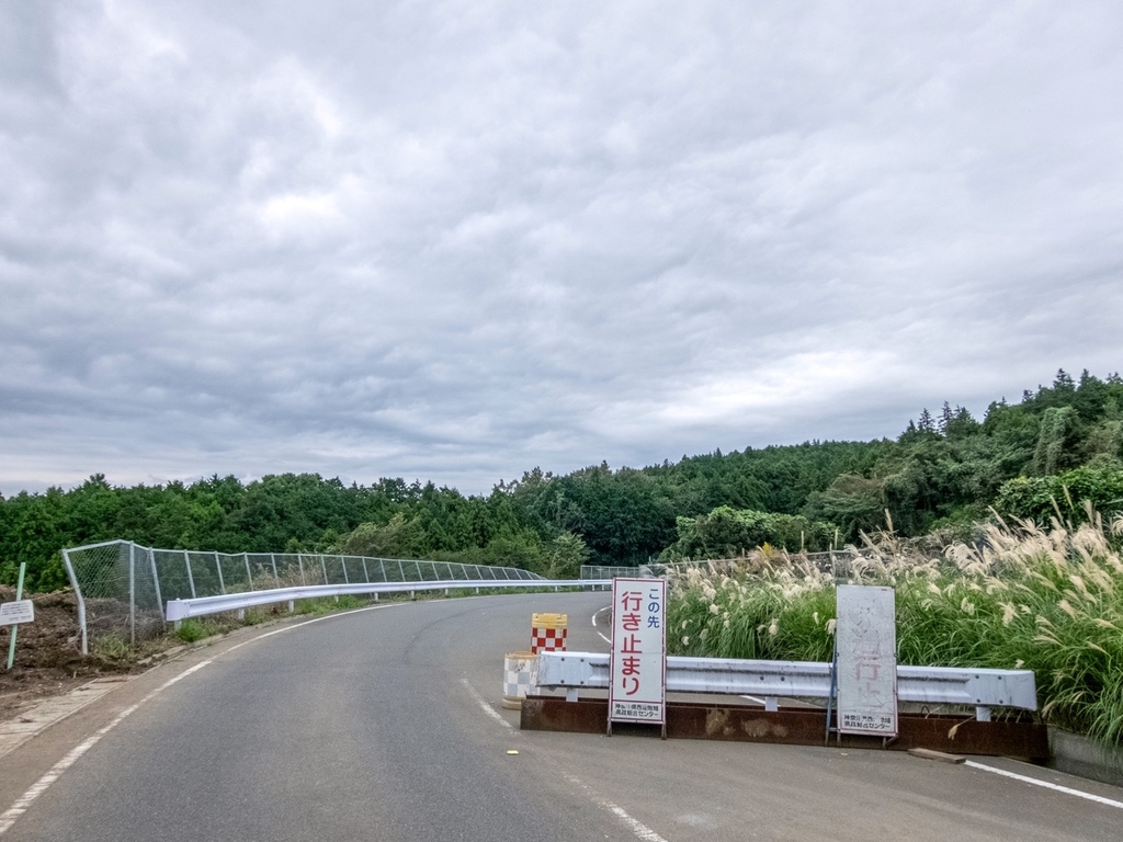 f:id:saetta0404:20181016230248j:plain f:id:saetta0404:20181016230248j:plain