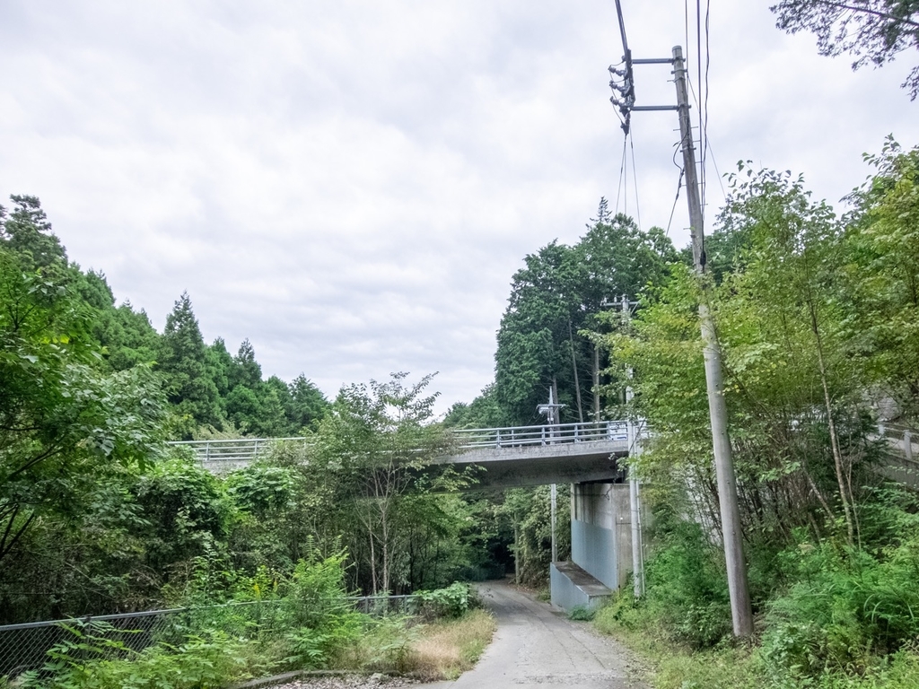 f:id:saetta0404:20181016230456j:plain f:id:saetta0404:20181016230456j:plain