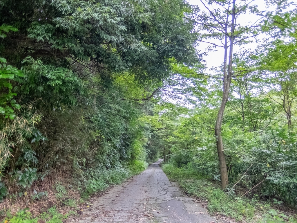 f:id:saetta0404:20181016230517j:plain f:id:saetta0404:20181016230517j:plain