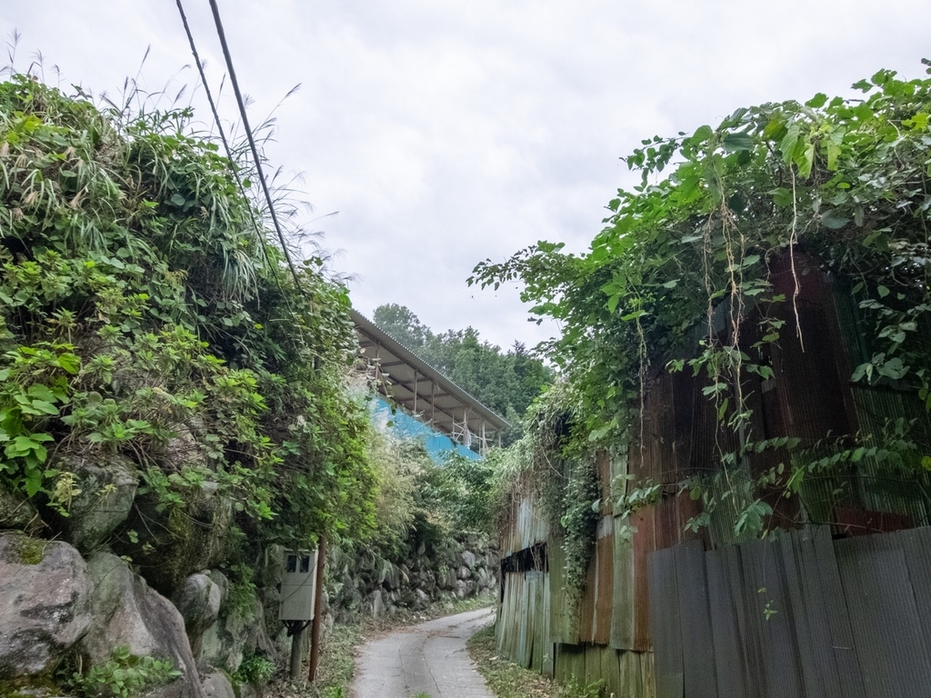 f:id:saetta0404:20181016230542j:plain f:id:saetta0404:20181016230542j:plain