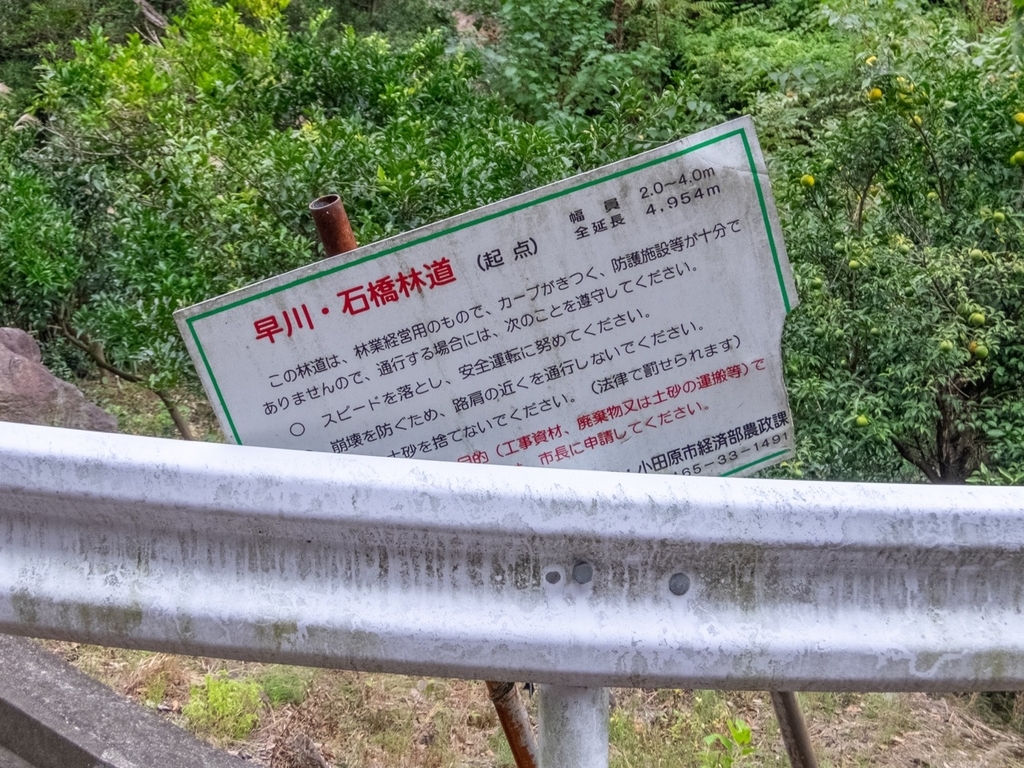 f:id:saetta0404:20181016230704j:plain f:id:saetta0404:20181016230704j:plain