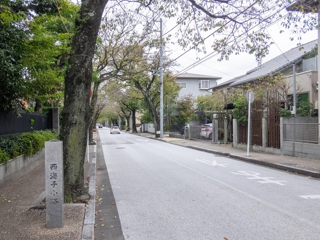 f:id:saetta0404:20181016231735j:plain f:id:saetta0404:20181016231735j:plain