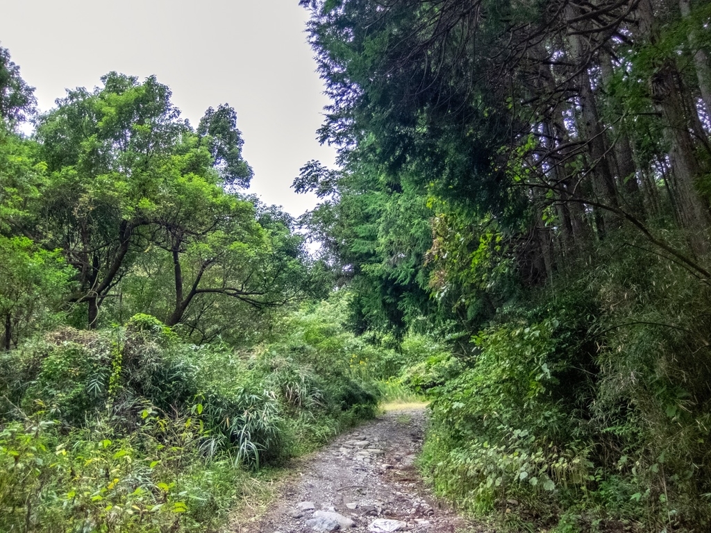 f:id:saetta0404:20181018223630j:plain f:id:saetta0404:20181018223630j:plain