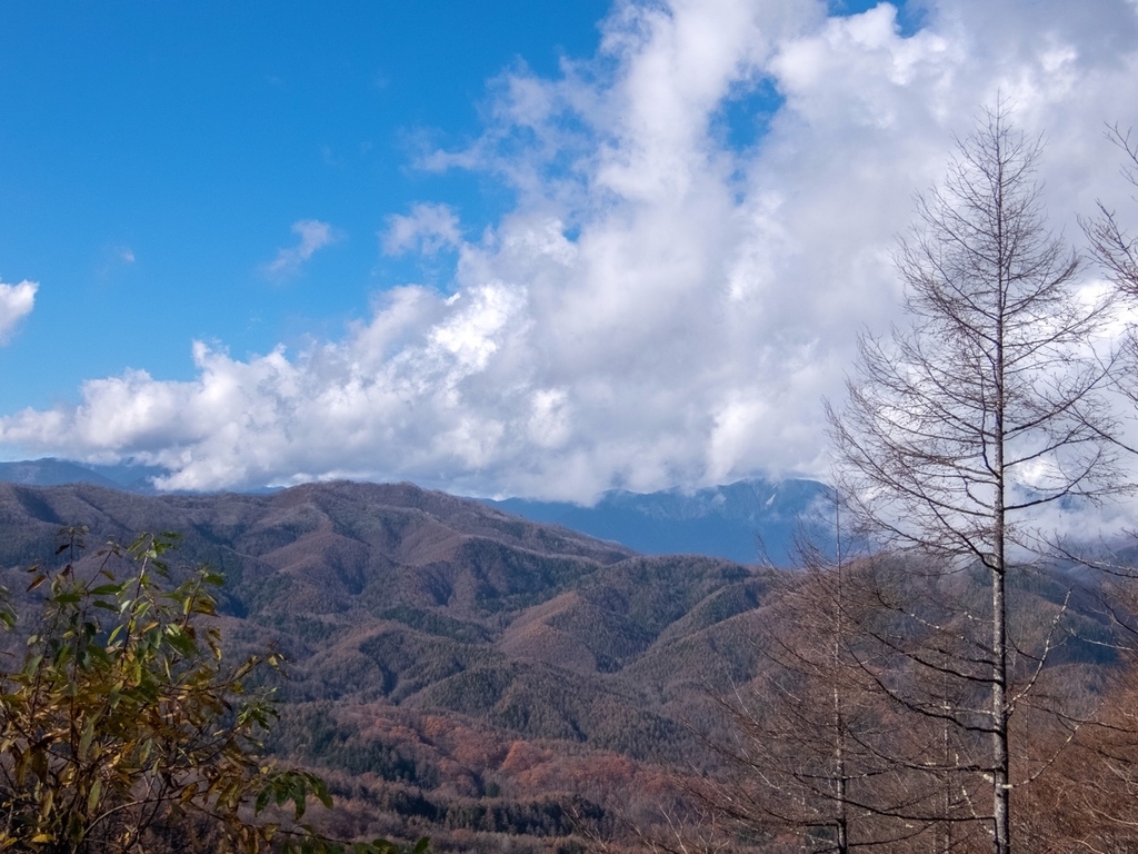 f:id:saetta0404:20181111160123j:plain