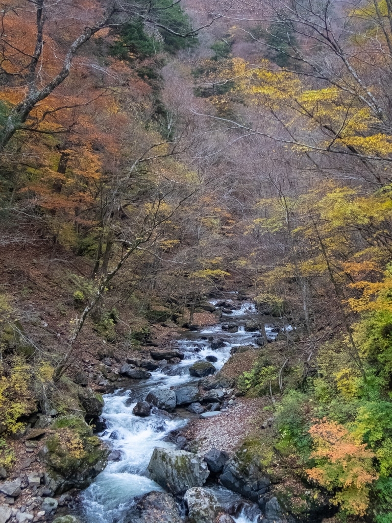 f:id:saetta0404:20181111160605j:plain