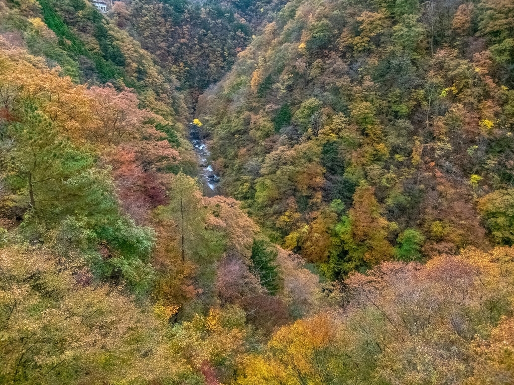 f:id:saetta0404:20181111160629j:plain