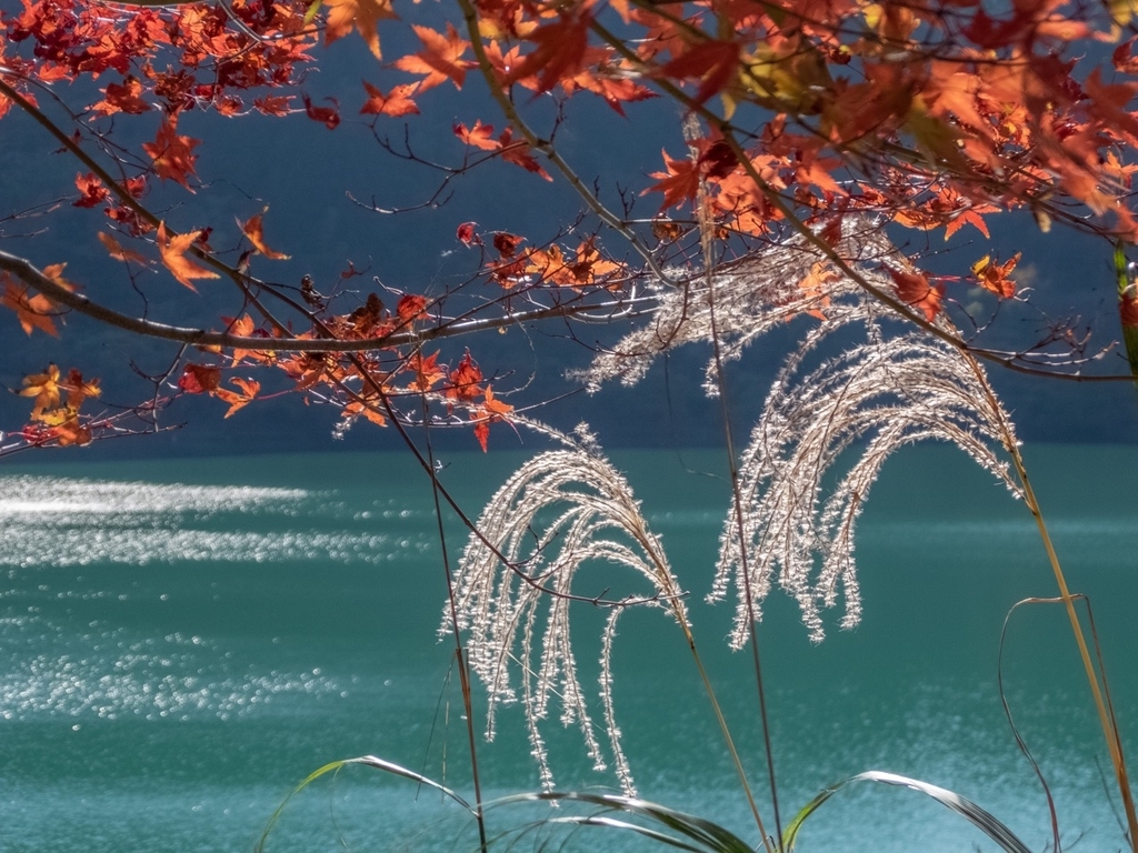 f:id:saetta0404:20181118083137j:plain f:id:saetta0404:20181118083137j:plain