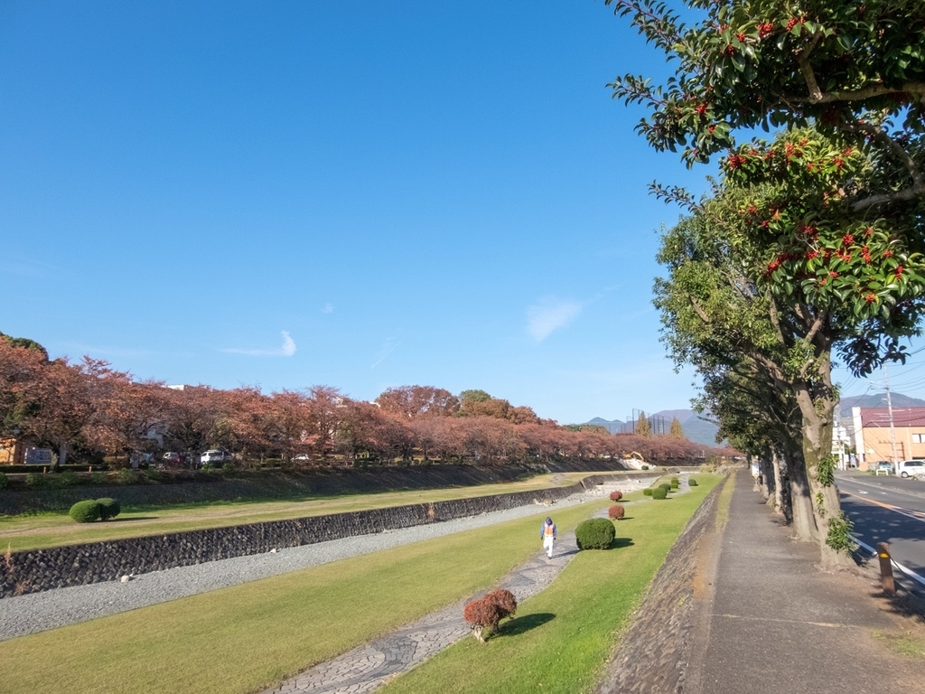 f:id:saetta0404:20181118104443j:plain f:id:saetta0404:20181118104443j:plain