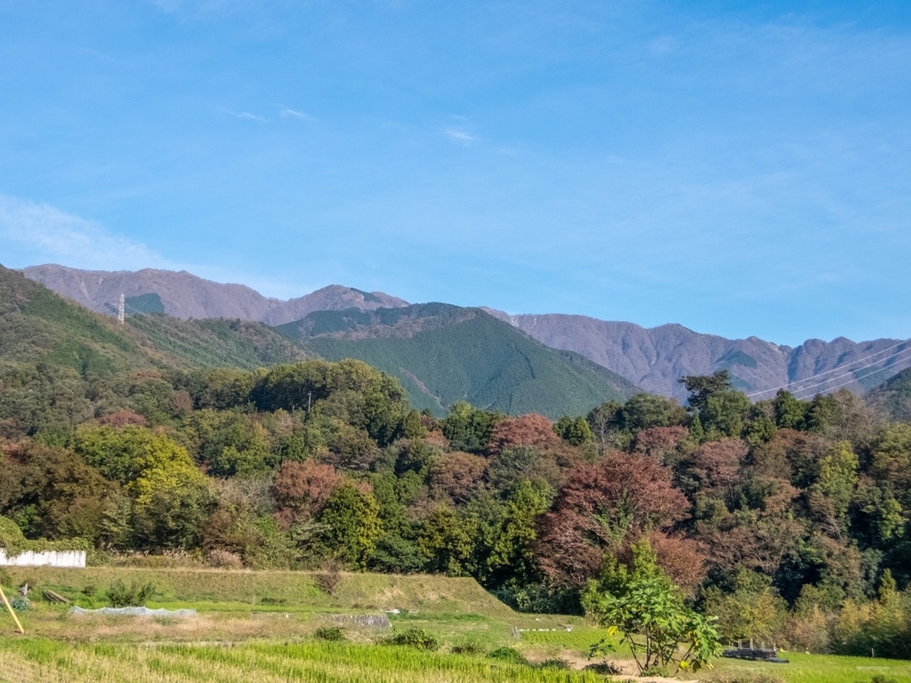 f:id:saetta0404:20181118104551j:plain f:id:saetta0404:20181118104551j:plain