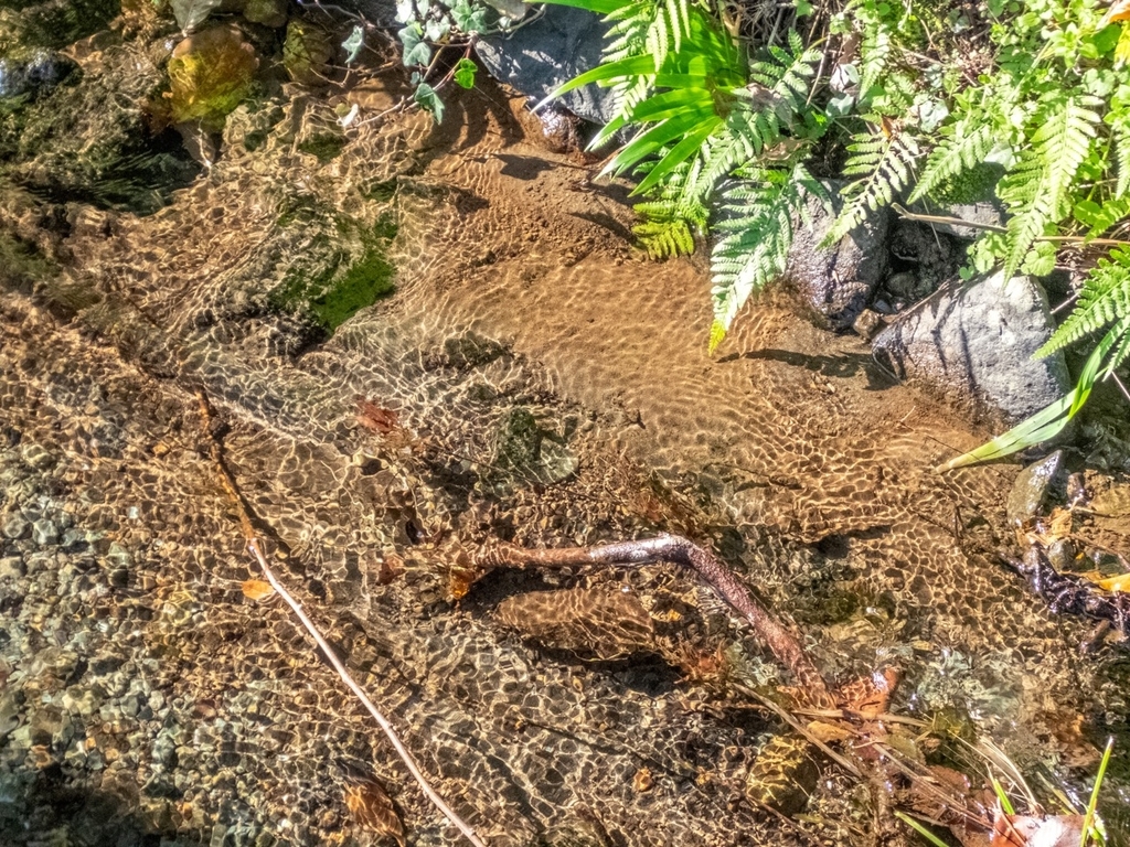 f:id:saetta0404:20181118104627j:plain f:id:saetta0404:20181118104627j:plain