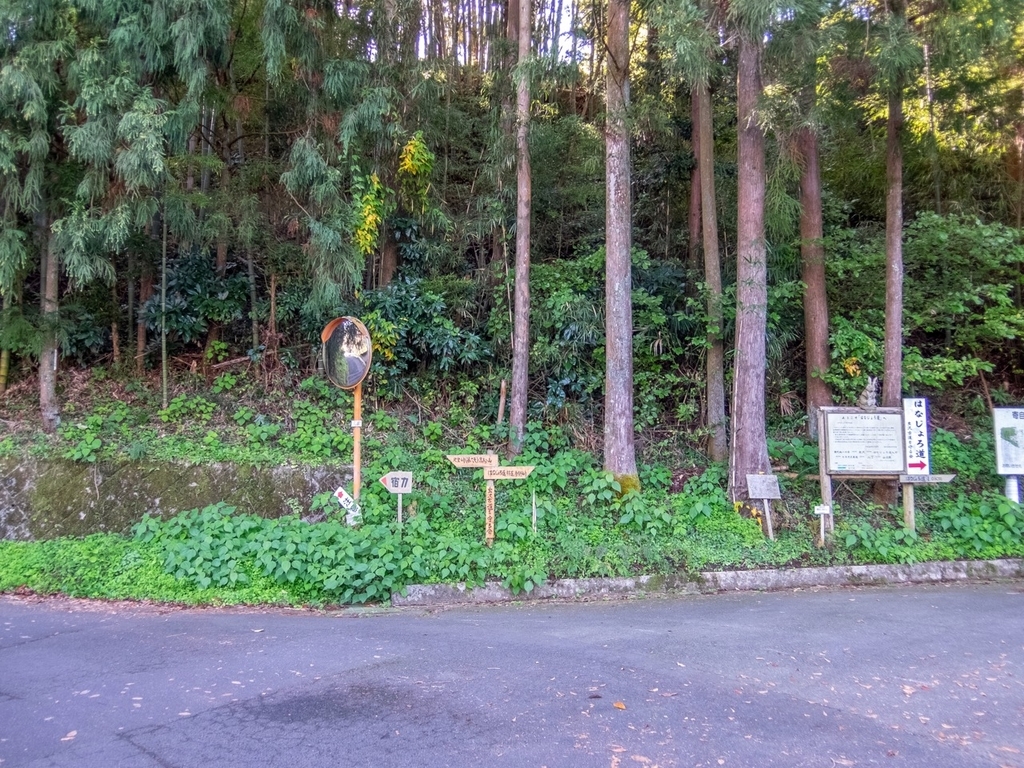 f:id:saetta0404:20181118104916j:plain f:id:saetta0404:20181118104916j:plain