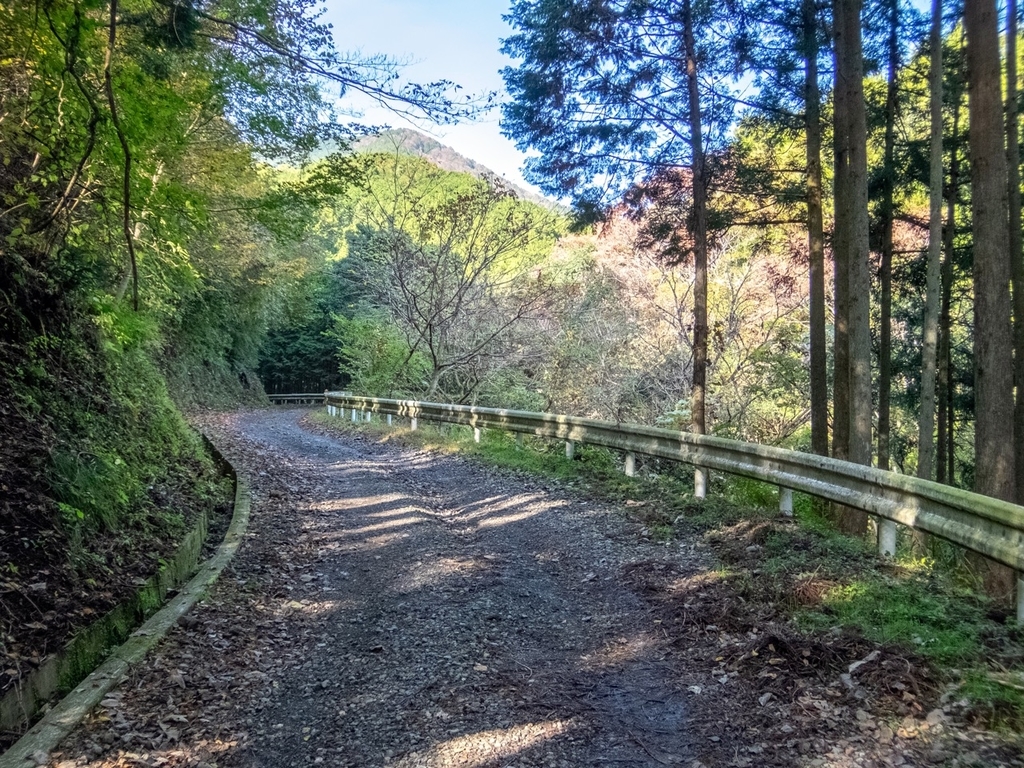 f:id:saetta0404:20181118104937j:plain f:id:saetta0404:20181118104937j:plain