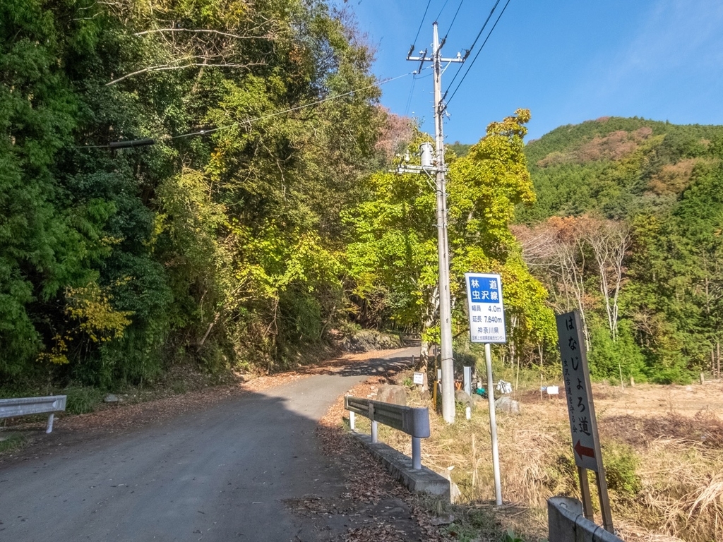 f:id:saetta0404:20181118104959j:plain f:id:saetta0404:20181118104959j:plain