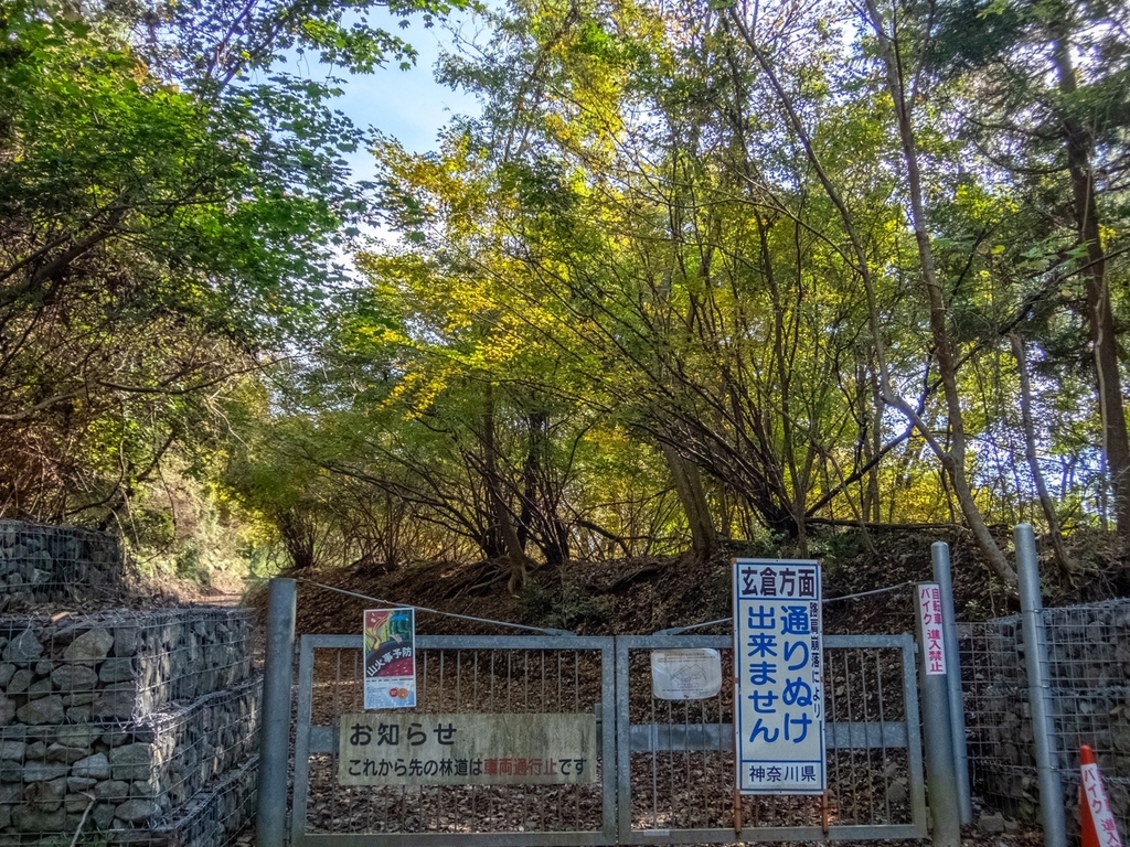 f:id:saetta0404:20181118105031j:plain f:id:saetta0404:20181118105031j:plain