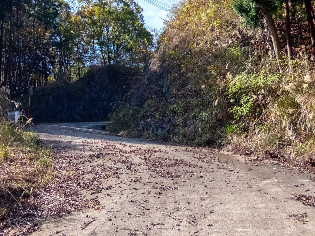 f:id:saetta0404:20181118105205j:plain f:id:saetta0404:20181118105205j:plain