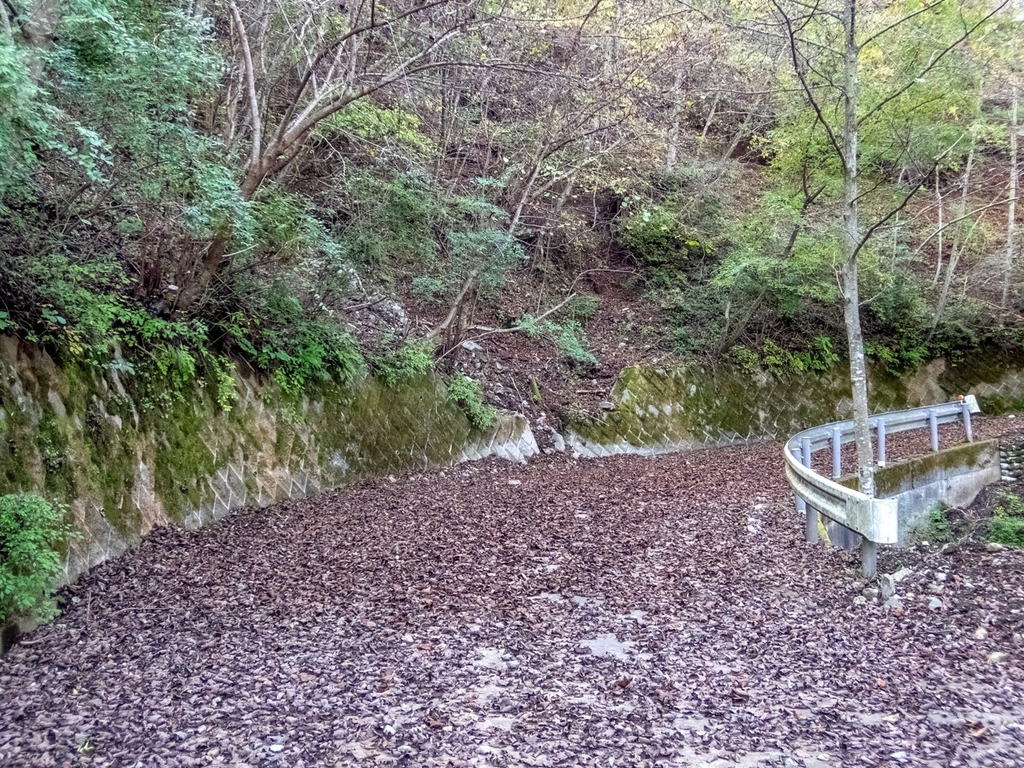 f:id:saetta0404:20181118105818j:plain f:id:saetta0404:20181118105818j:plain