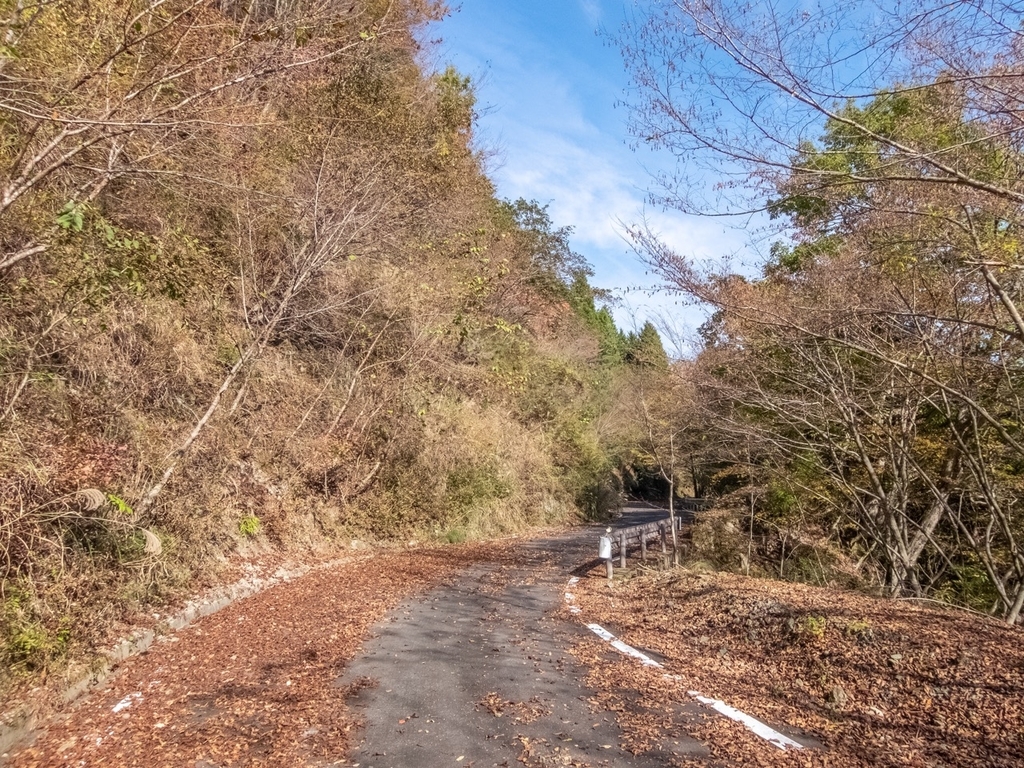 f:id:saetta0404:20181118105853j:plain f:id:saetta0404:20181118105853j:plain