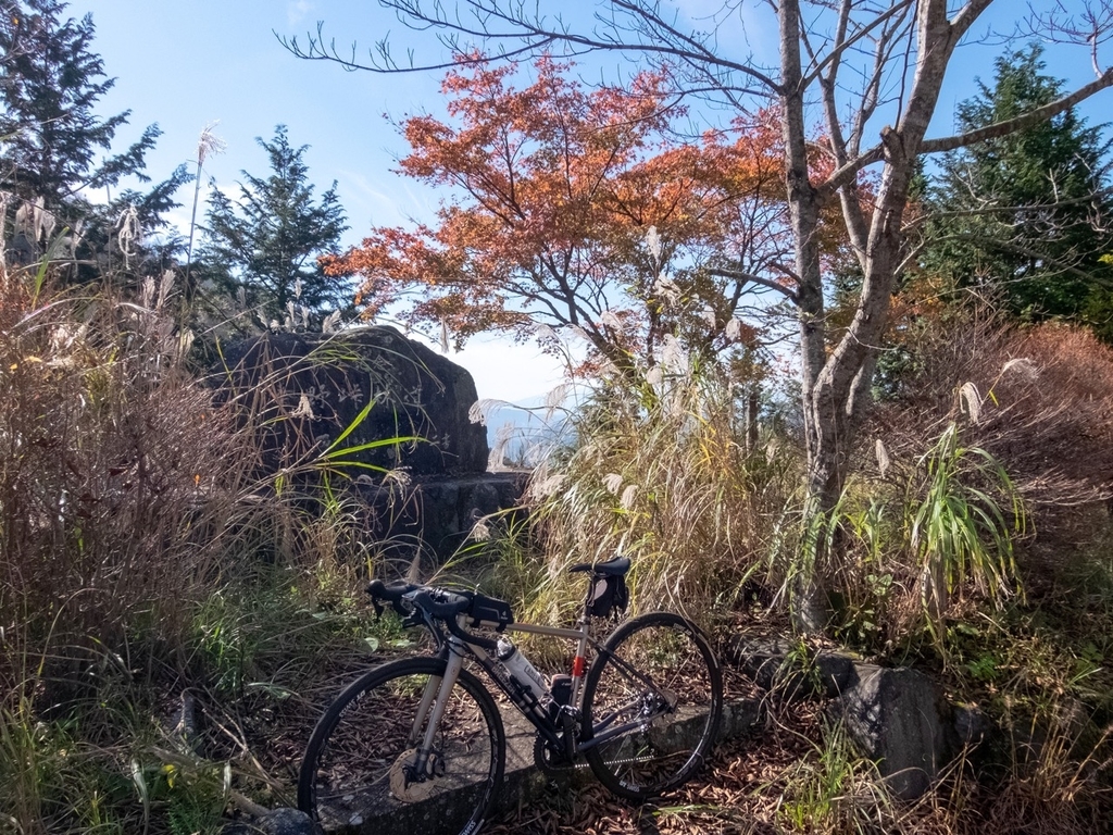 f:id:saetta0404:20181118105921j:plain f:id:saetta0404:20181118105921j:plain