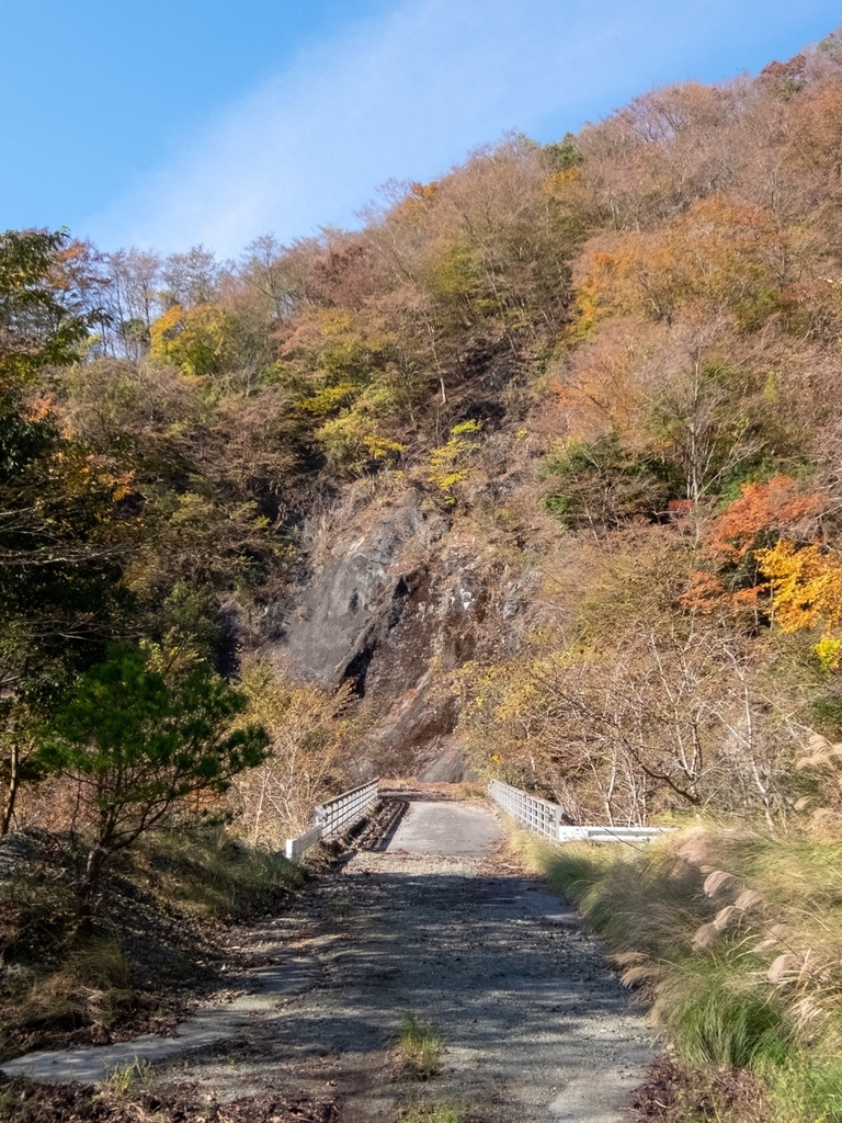 f:id:saetta0404:20181118110016j:plain f:id:saetta0404:20181118110016j:plain