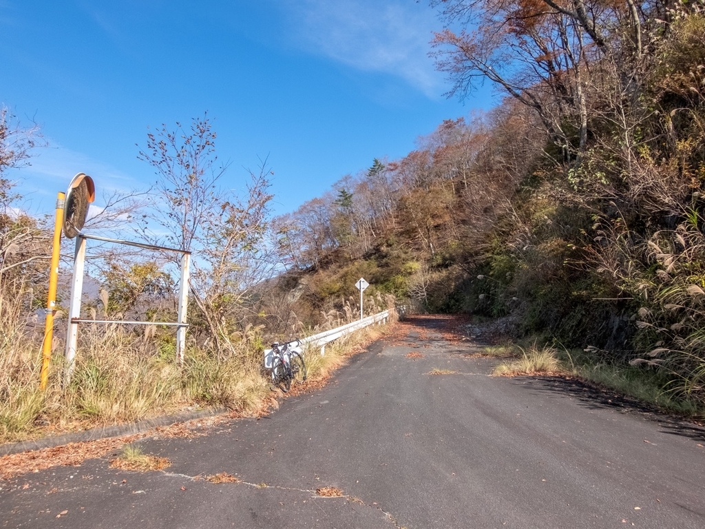 f:id:saetta0404:20181118110124j:plain f:id:saetta0404:20181118110124j:plain