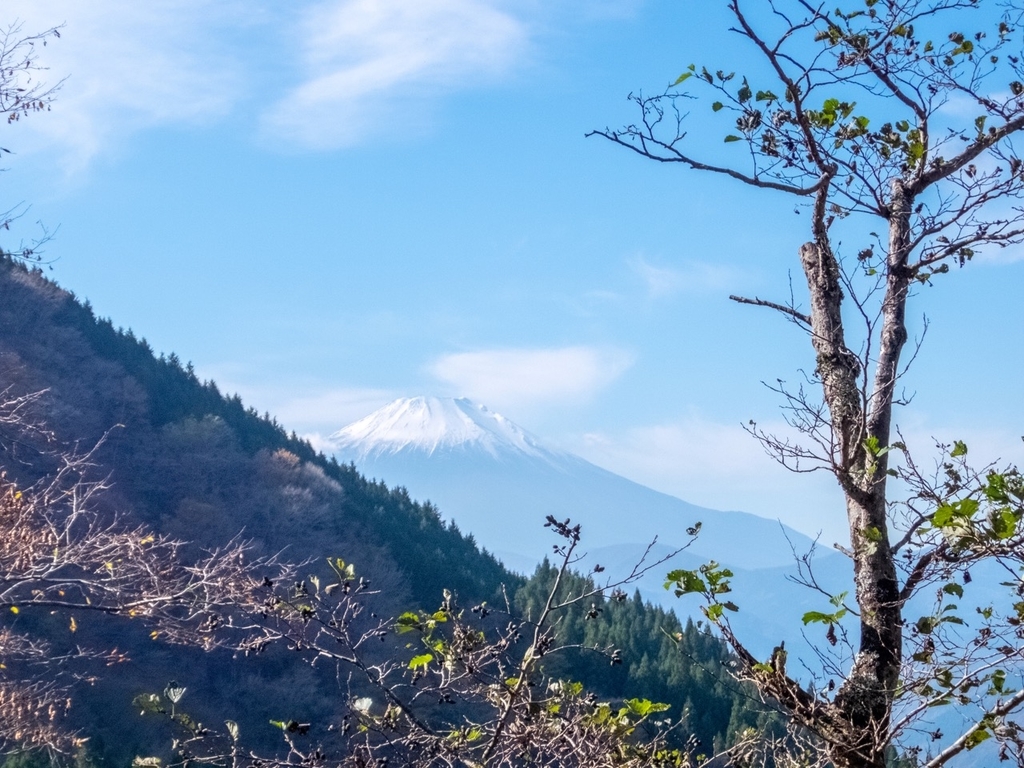 f:id:saetta0404:20181118110329j:plain f:id:saetta0404:20181118110329j:plain