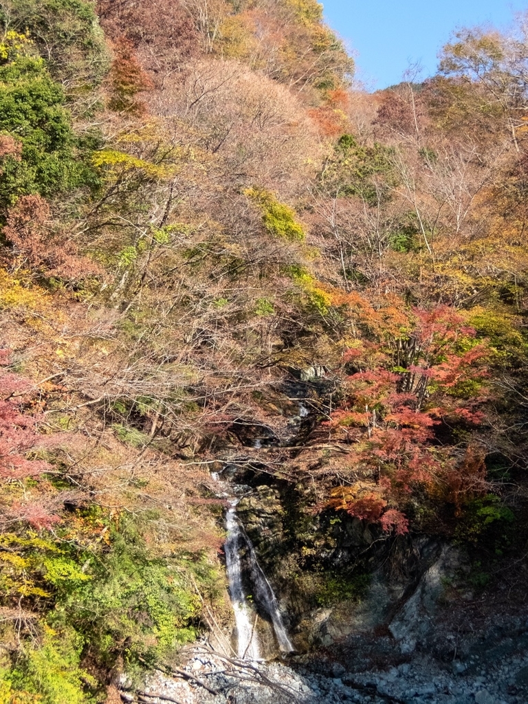 f:id:saetta0404:20181118110617j:plain f:id:saetta0404:20181118110617j:plain