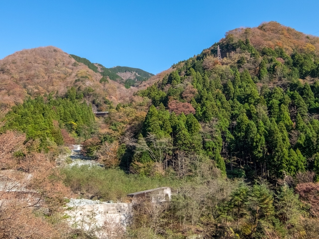 f:id:saetta0404:20181118110730j:plain f:id:saetta0404:20181118110730j:plain