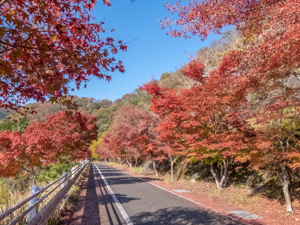 f:id:saetta0404:20181118110928j:plain f:id:saetta0404:20181118110928j:plain