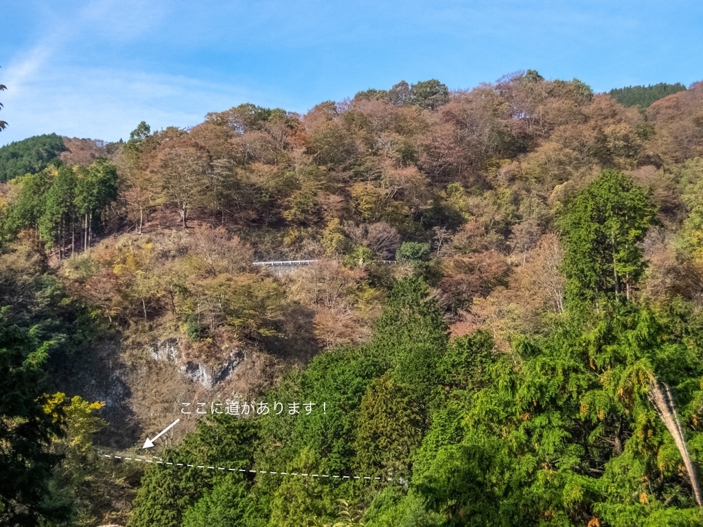 f:id:saetta0404:20181118160227j:plain f:id:saetta0404:20181118160227j:plain