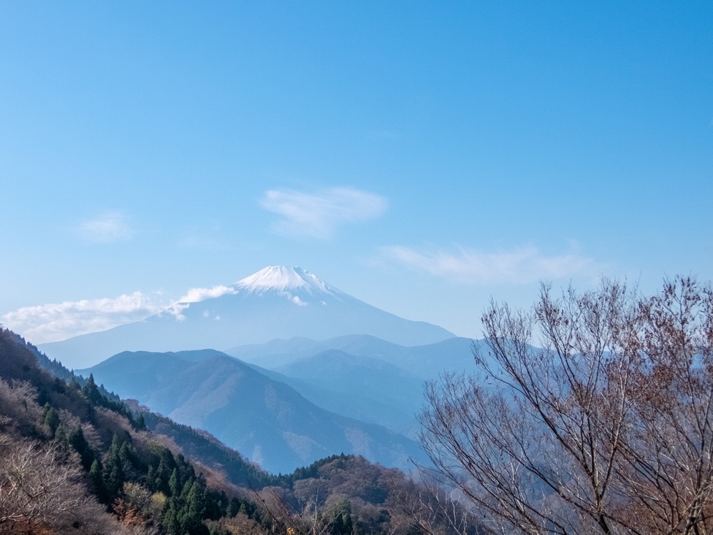 f:id:saetta0404:20181121181325j:plain f:id:saetta0404:20181121181325j:plain