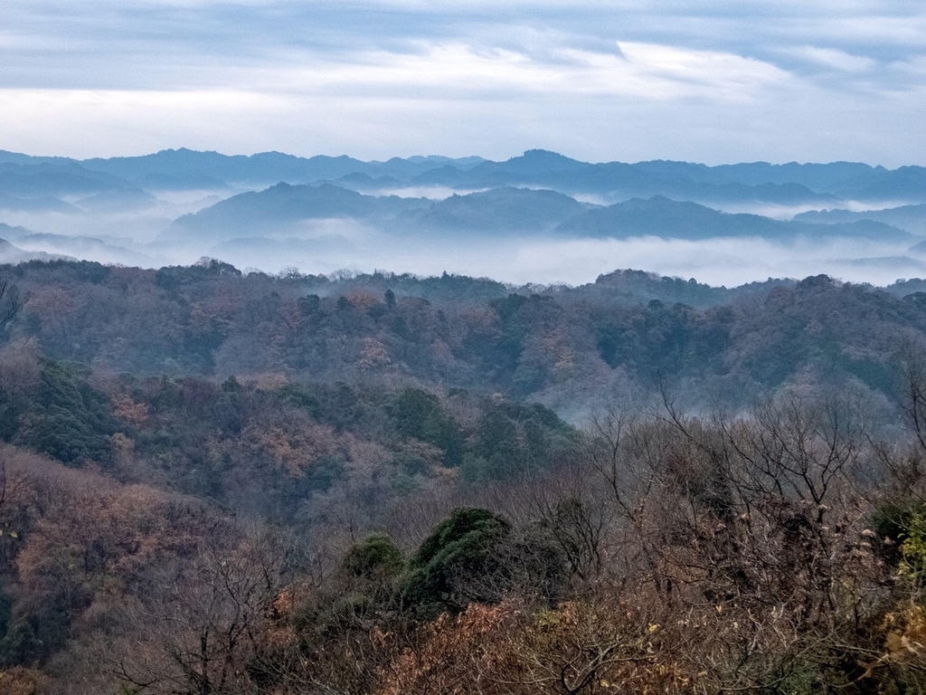 f:id:saetta0404:20181224131607j:plain