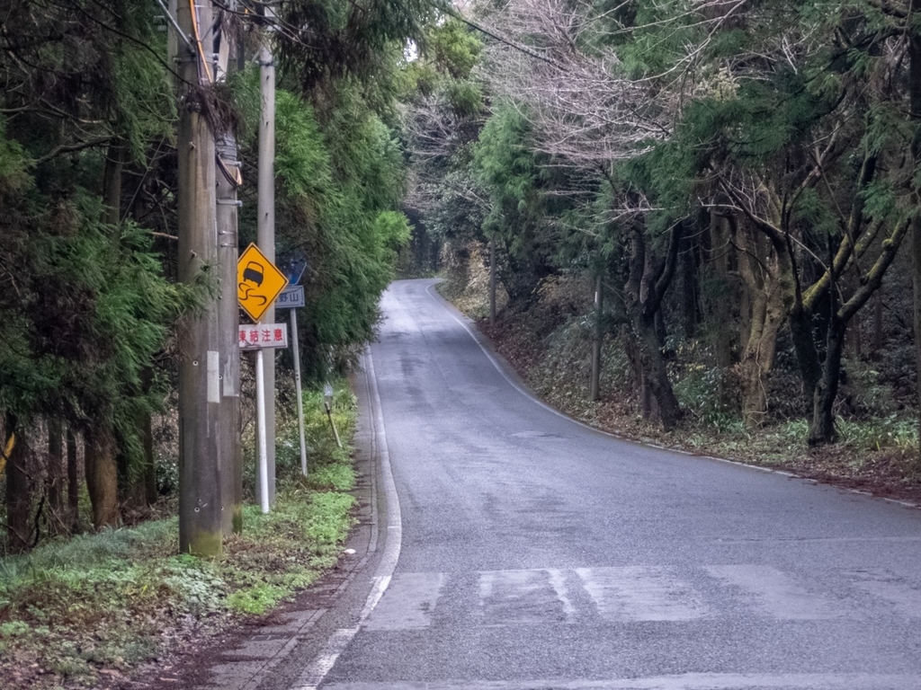 f:id:saetta0404:20181224131751j:plain