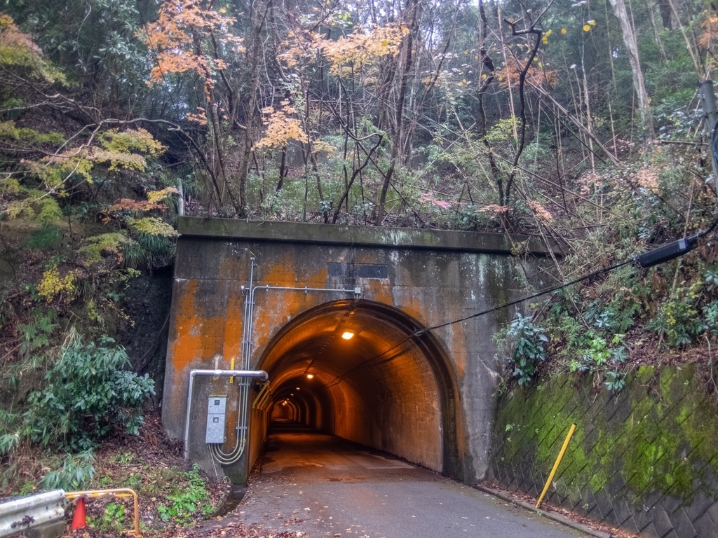 f:id:saetta0404:20181224152815j:plain