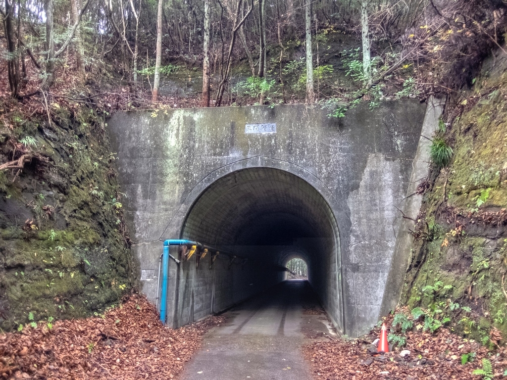 f:id:saetta0404:20181224152917j:plain