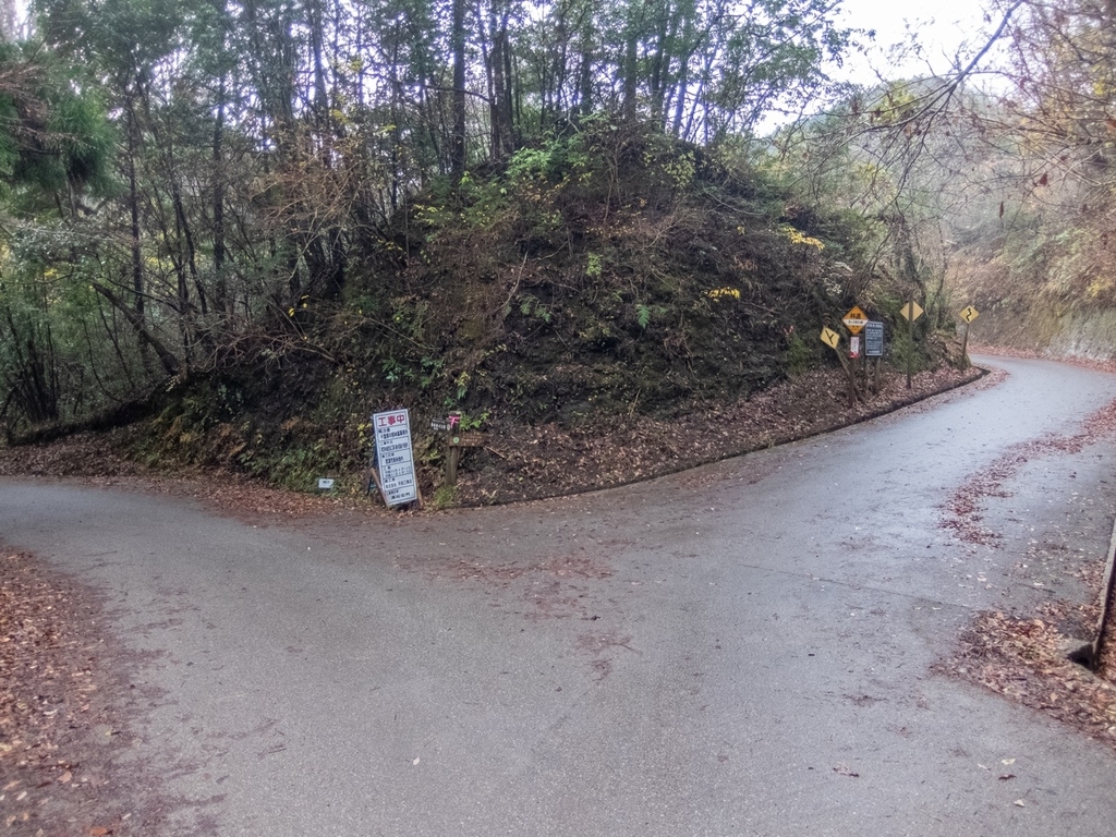 f:id:saetta0404:20181224153045j:plain